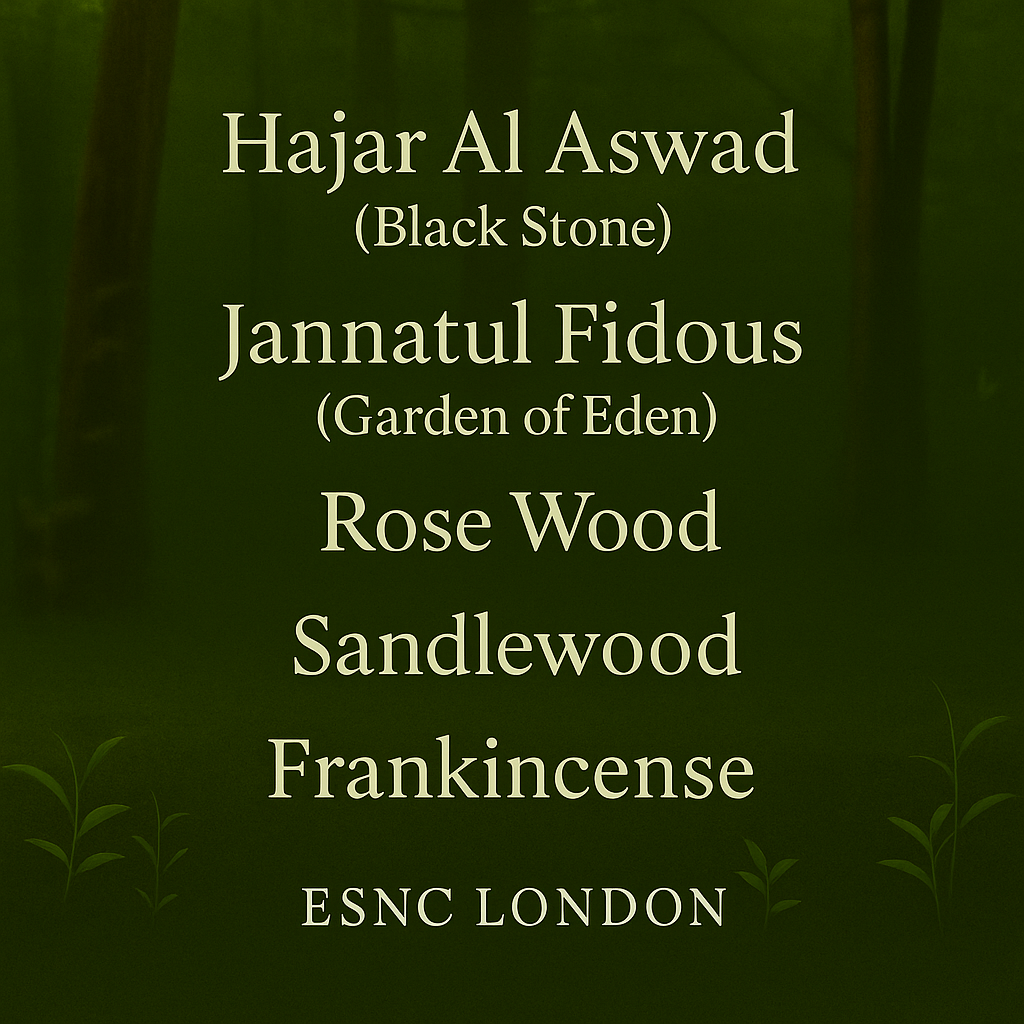 Natural Discovery Set